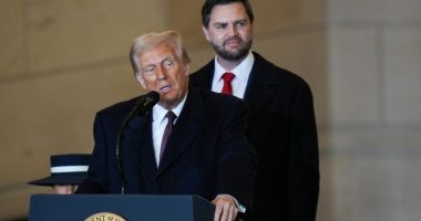 JD Vance defends Trump’s AI pope photo