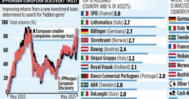 JPMORGAN EUROPEAN DISCOVERY TRUST: Fund headed off Saba... and returns are up 16% in a year