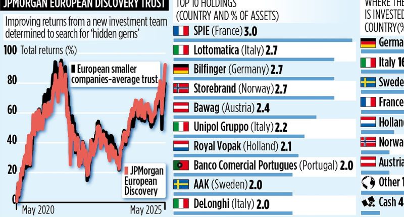 JPMORGAN EUROPEAN DISCOVERY TRUST: Fund headed off Saba... and returns are up 16% in a year