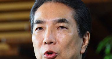 Japan minister resigns after backlash on rice remarks
