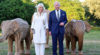 Charles and Queen Camilla are pictured attending the Elephant Family Evening of Art and Conservation at Kew Gardens on Tuesday evening
