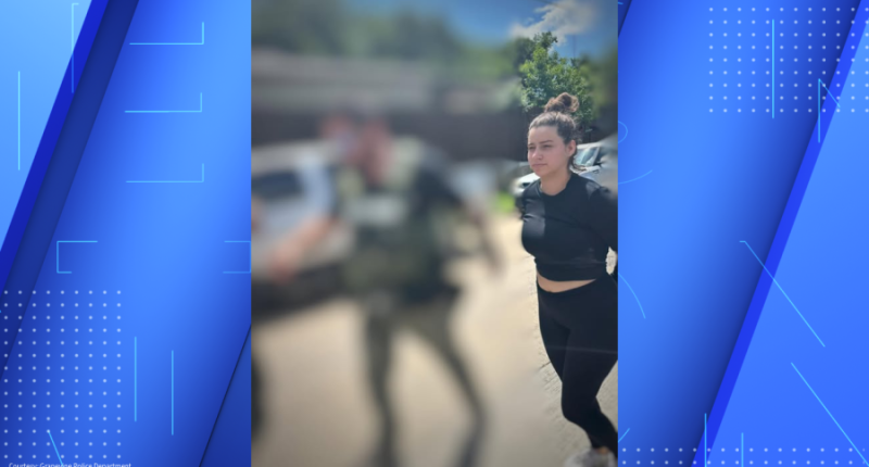 Live: Texas officials provide update on fatal hit-and-run of Ava Moore