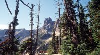 Lone survivor makes it to pay phone after 3 climbers fall to their death in North Cascades