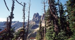 Lone survivor makes it to pay phone after 3 climbers fall to their death in North Cascades