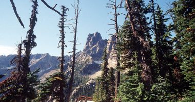 Lone survivor makes it to pay phone after 3 climbers fall to their death in North Cascades