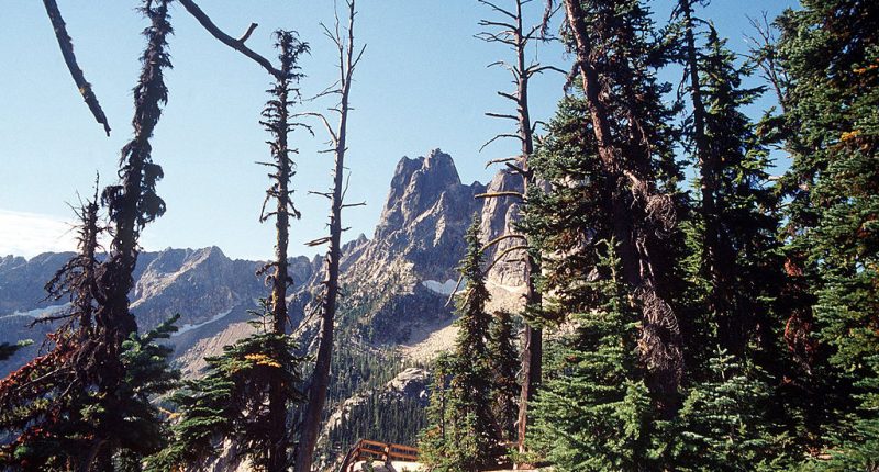 Lone survivor makes it to pay phone after 3 climbers fall to their death in North Cascades