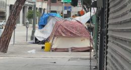 Los Angeles barbershop blasts ‘Baby Shark’ to ward off homeless
