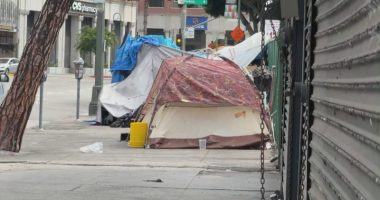 Los Angeles barbershop blasts ‘Baby Shark’ to ward off homeless