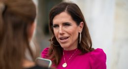 Mace files resolution to expel McIver over ICE assault charges