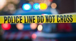 Man accused of beating his mother to death in Illinois home