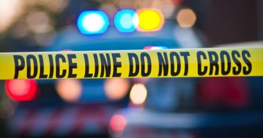 Man accused of beating his mother to death in Illinois home