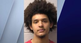 Man, teen accused of beating woman at McDonald's over sexual orientation