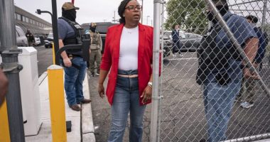 McIver ‘slammed her forearms’ into immigration officers: Charging docs