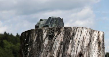 Melania Trump's statue in native Slovenia cut off at feet, stolen
