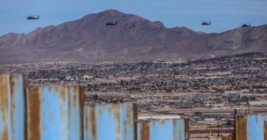 Mexico should rethink Trump offer for US troops, official says