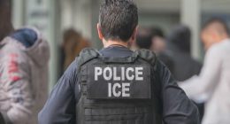 Mexico trying to accommodate surge in ICE deportation flights