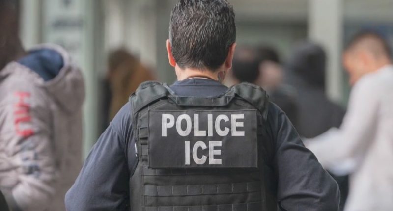 Mexico trying to accommodate surge in ICE deportation flights