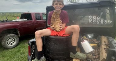 Missouri boy finds giant morel mushroom nearly the size of his own head