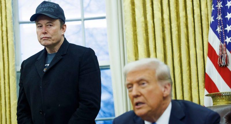 Musk criticizes Trump bill over abrupt end to energy tax credits