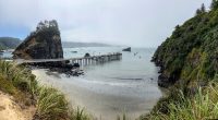 Mysterious human skull found 32 years ago on California beach identified