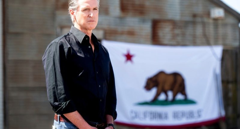 Newsom proposes pausing expansion of health care to low-income immigrants