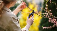Over 40s women tackle menopause with new hobbies from gardening to dance, study reveals