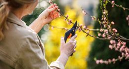 Over 40s women tackle menopause with new hobbies from gardening to dance, study reveals