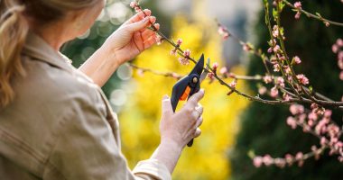 Over 40s women tackle menopause with new hobbies from gardening to dance, study reveals
