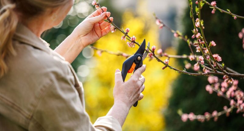 Over 40s women tackle menopause with new hobbies from gardening to dance, study reveals