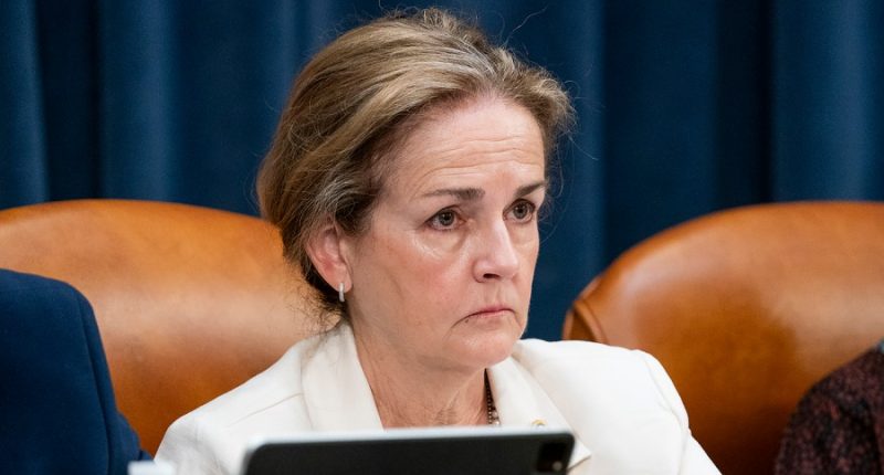 Pennsylvania Dem: 'It seems like we’re in a trade war with ourselves'