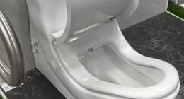 People are just realising there's a 'proper poop position', thanks to an unusual new toilet design - have YOU been going in the wrong way?