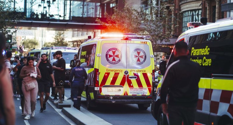Psychiatrist's major backflip on Bondi Junction shopping centre attack diagnosis