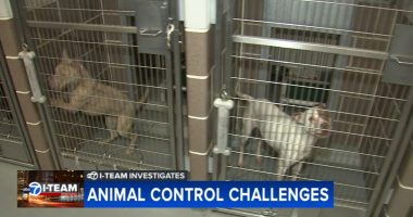 Reduced hours at Chicago Animal Care and Control shelter may be creating more work for Chicago Police Department