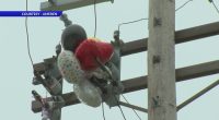 Released balloons for celebrations causing power outages in Illinois