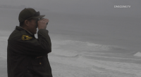 Remains found at Torrey Pines State Beach identified as 10-year-old girl