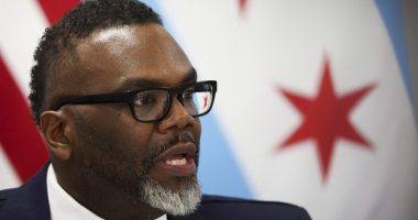Reporter: Johnson's comments 'not specific' toward race in city hires