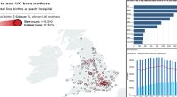 Revealed: The hospitals where nearly nine out of ten babies are being born to non-British mothers