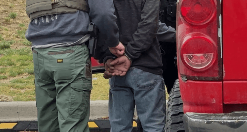 ICE Denver ride-along
