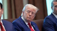 Right-wing firebrand makes comparison that former friend Trump will HATE after gushing cabinet meeting