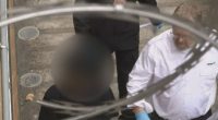 SA teen charged over alleged threats to school, Fringe, Gather Round