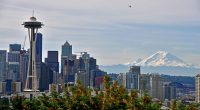 Seattle Orcas Building Cricket Legacy In Pacific Northwest