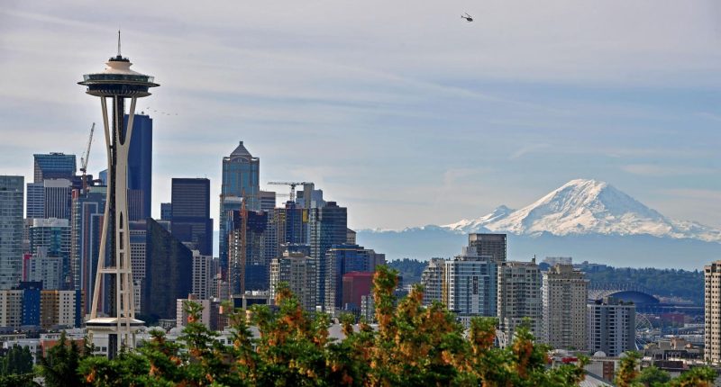 Seattle Orcas Building Cricket Legacy In Pacific Northwest