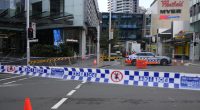 Shopping mall killer's psychiatrist to face questioning