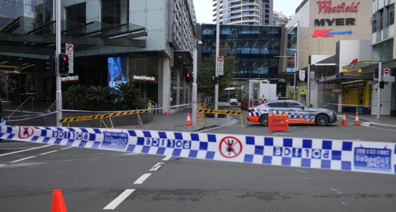 Shopping mall killer's psychiatrist to face questioning