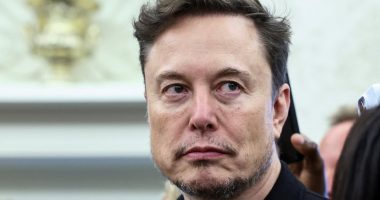 Social media erupts over Elon Musk's reaction during testy Trump showdown with South African president