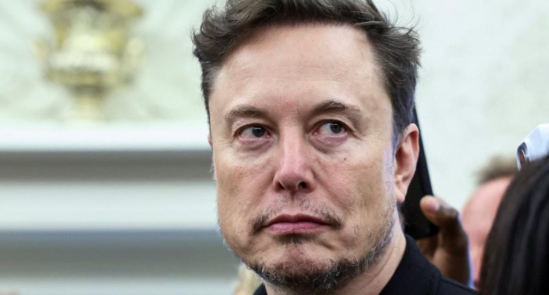 Social media erupts over Elon Musk's reaction during testy Trump showdown with South African president