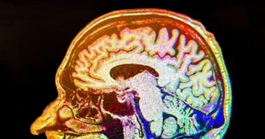 Steering clear of one beverage may slash Alzheimer's and dementia risk