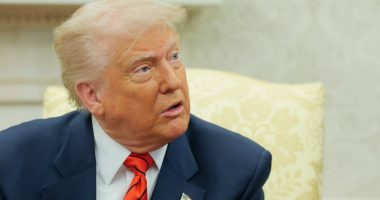 Tariffs make running operations 'less feasible': Small business owner
