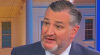 Ted Cruz supports Trump's 'big, beautiful bill'