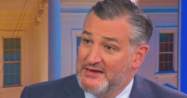 Ted Cruz supports Trump's 'big, beautiful bill'